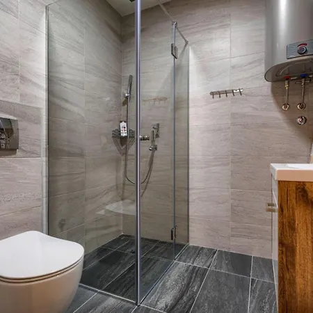 Apartment Apartman Mijailovic Zlatibor